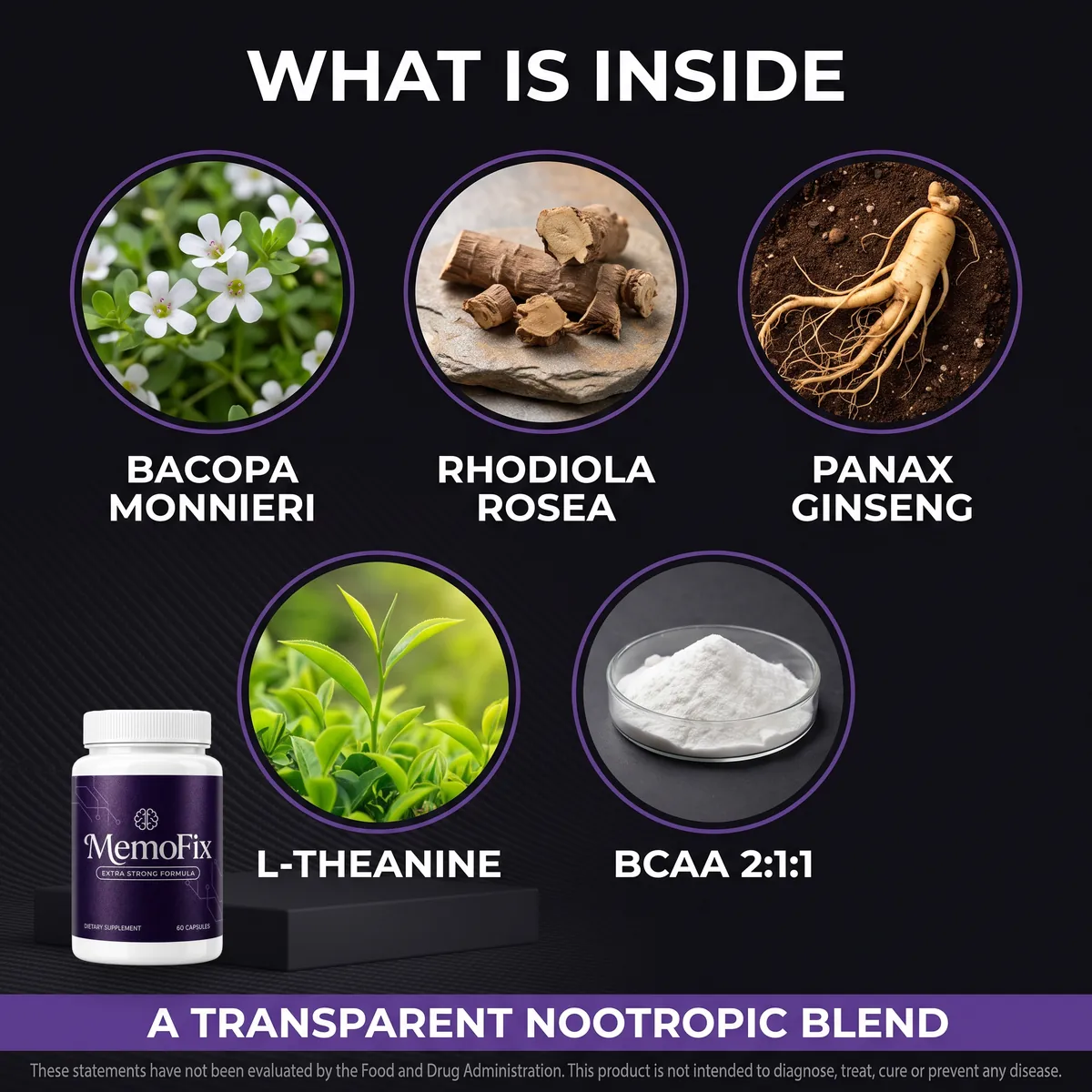 MemoFix ingredients: bacopa monnieri, rhodiola rosea and panax ginseng botanical extracts